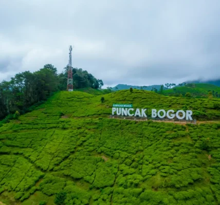 Puncak Bogor