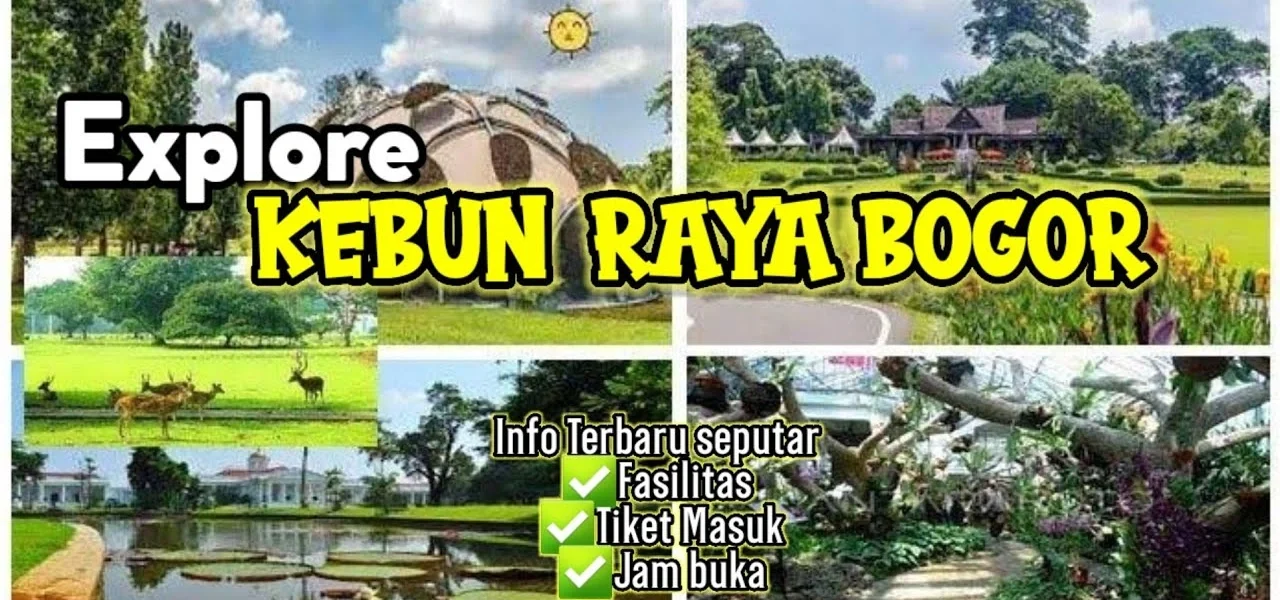 Explore Kebun Raya Bogor Surga Wisata Alam, Apa Saja di Dalamnya