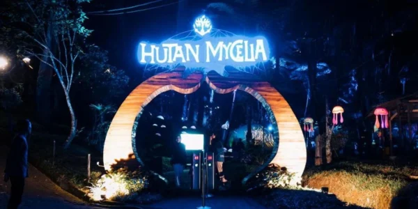 Membangun Generasi Pecinta Alam Di Hutan Mycelia di Bandung